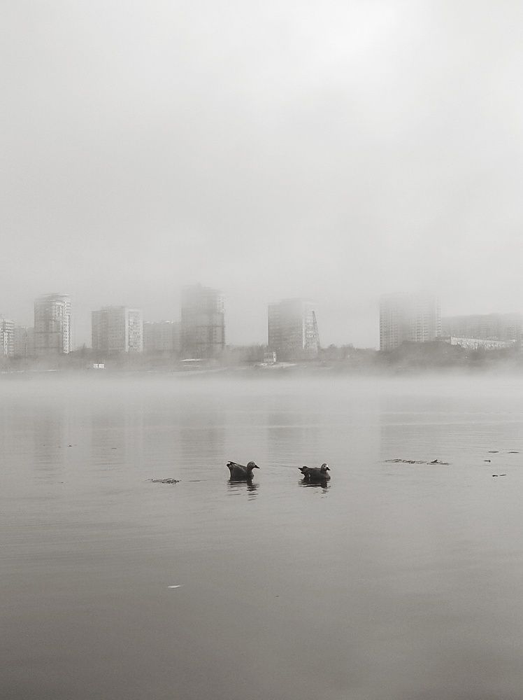 Photograph by Вячеслав Щёголев