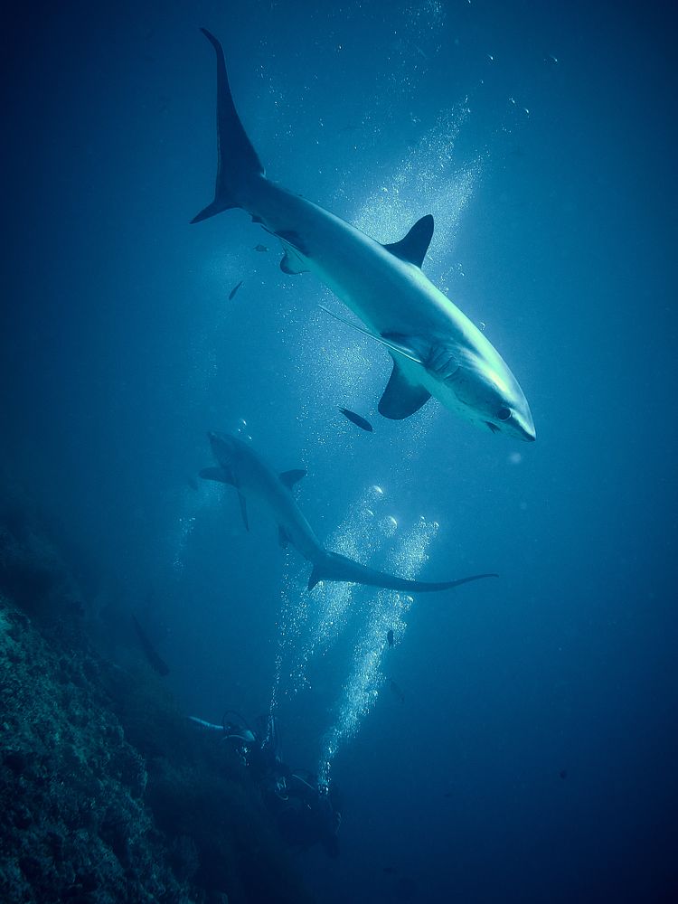 Photograph by Юрий Журавлев