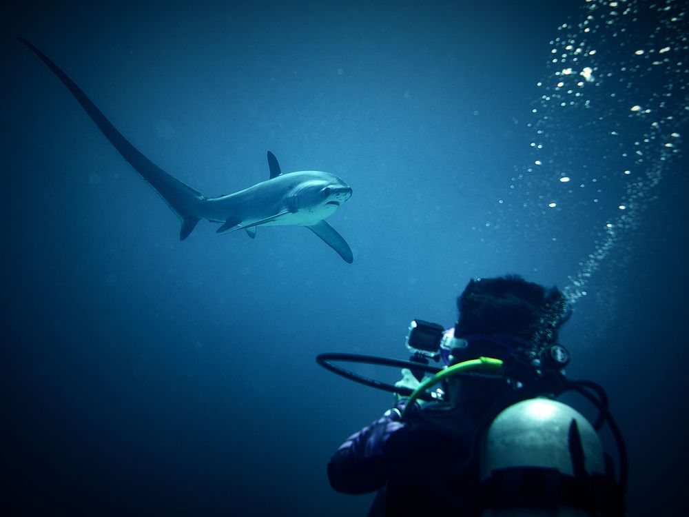 Photograph by Юрий Журавлев