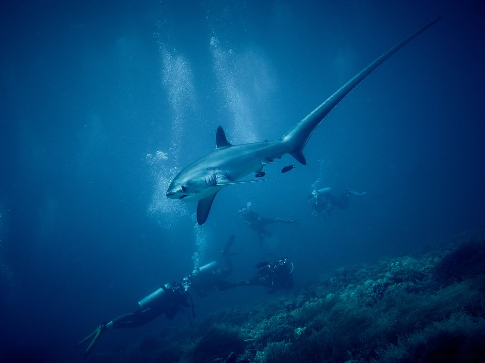 Photograph by Юрий Журавлев