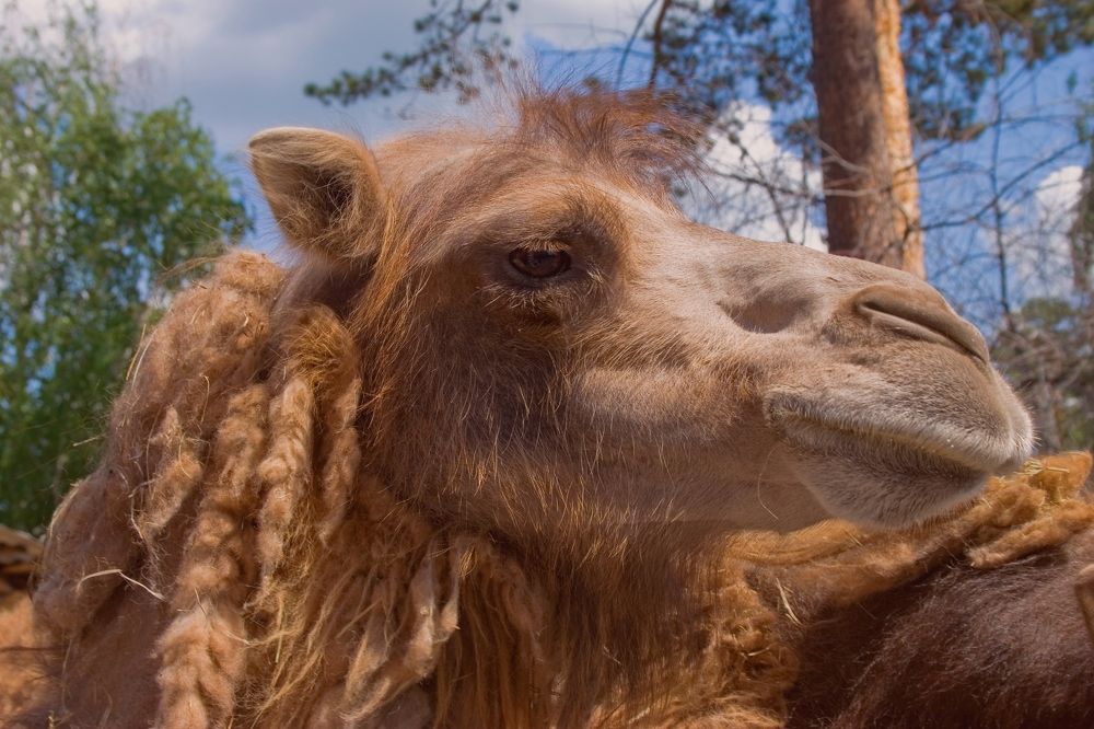 Photograph by Панюшкин Андрей