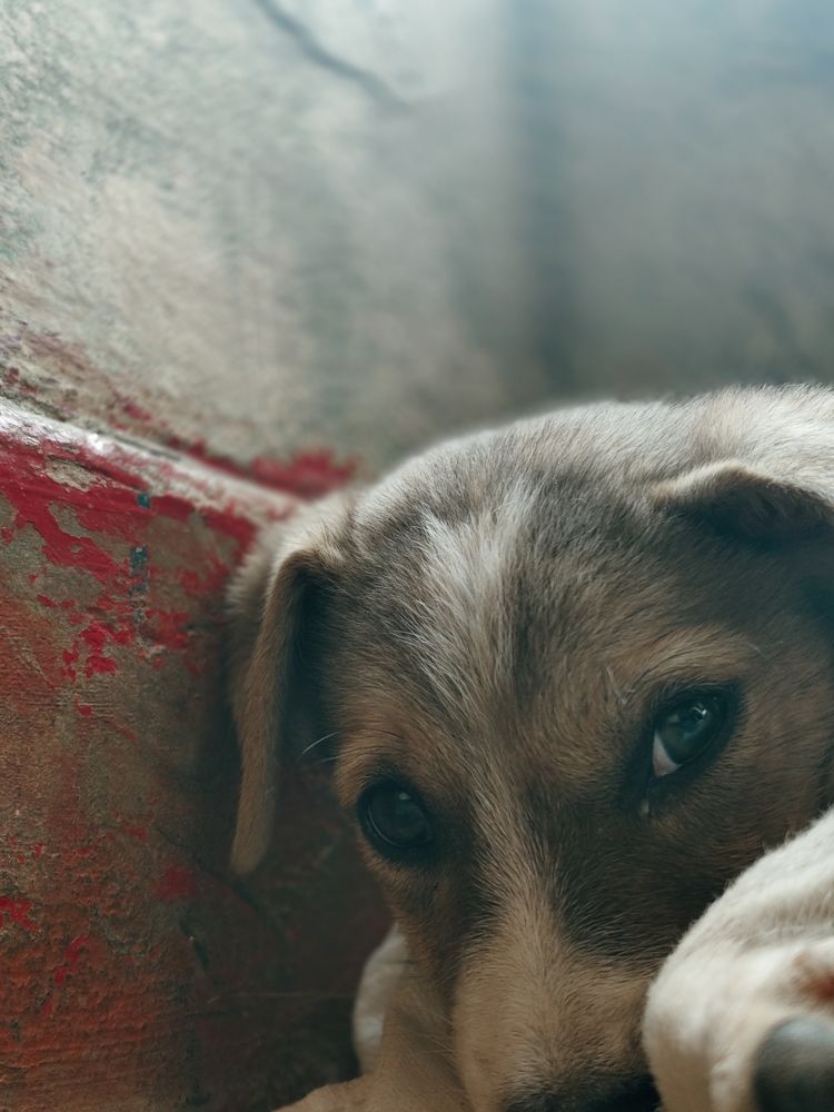 Photo #11448649