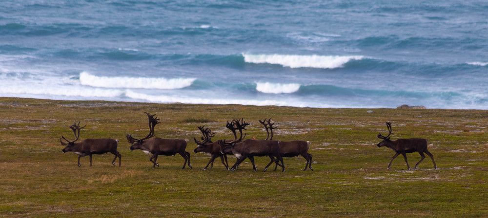 Photograph by Svetlana Porokhovnikova