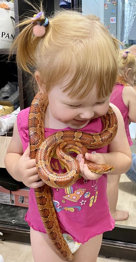 Фотография автора Олег Капуста