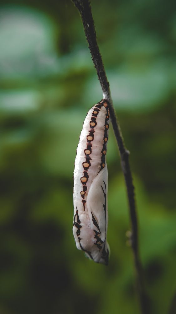 Photograph by Venu Peyyala