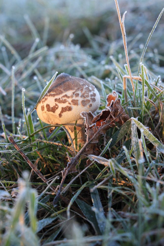 Фотография автора Татьяна Сергиенко