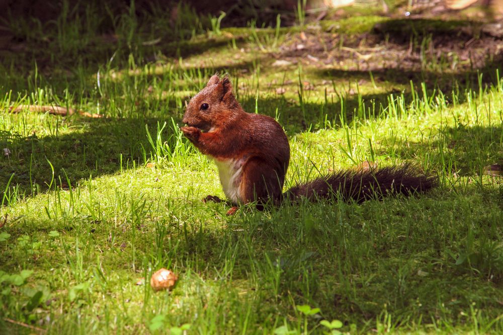 Фотография автора Татьяна Сергиенко