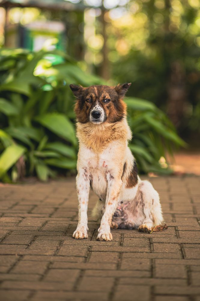 Фотография автора Лукьянов Евгений