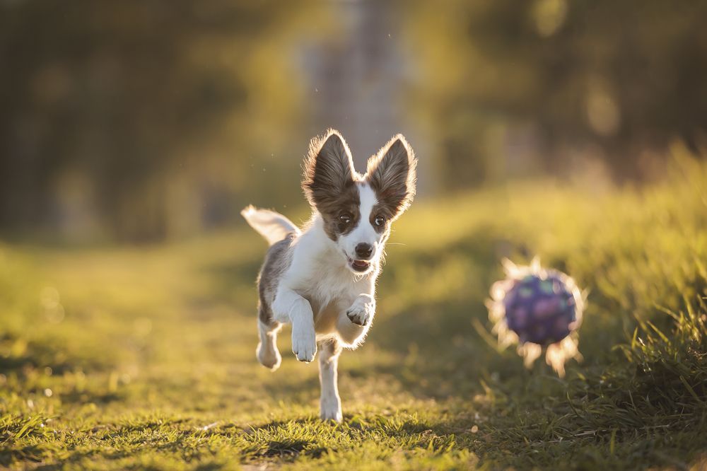 Photograph by Шитиков Владимир