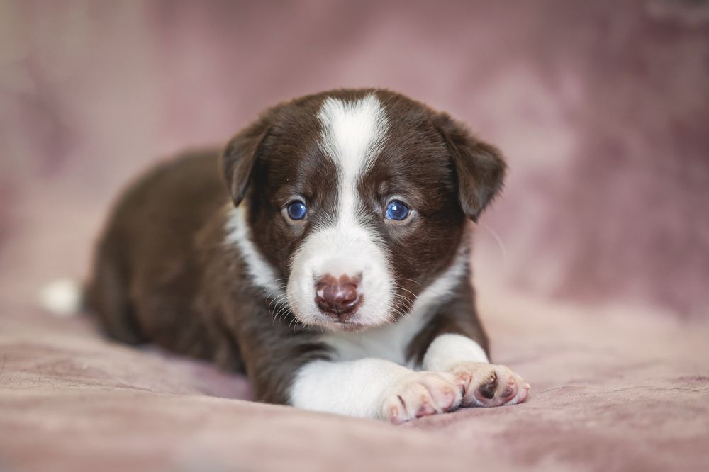 Photograph by Шитиков Владимир