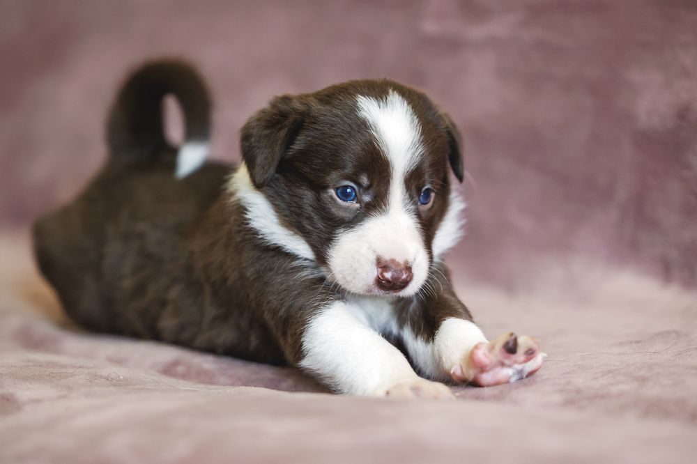 Photograph by Шитиков Владимир