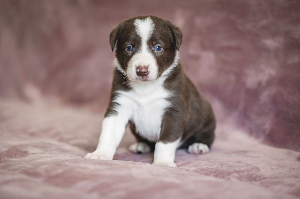 Photograph by Шитиков Владимир