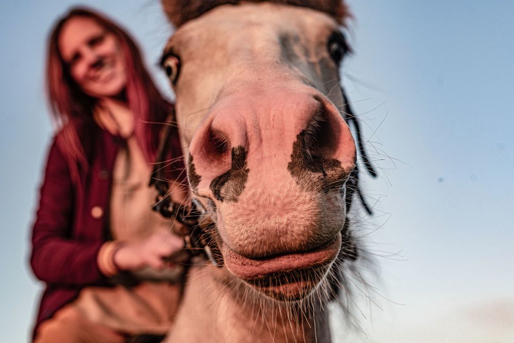 Фотография автора Екатерина Полякова