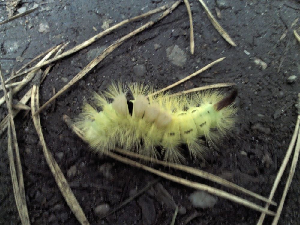 Photograph by Zhanna Kolesnikova