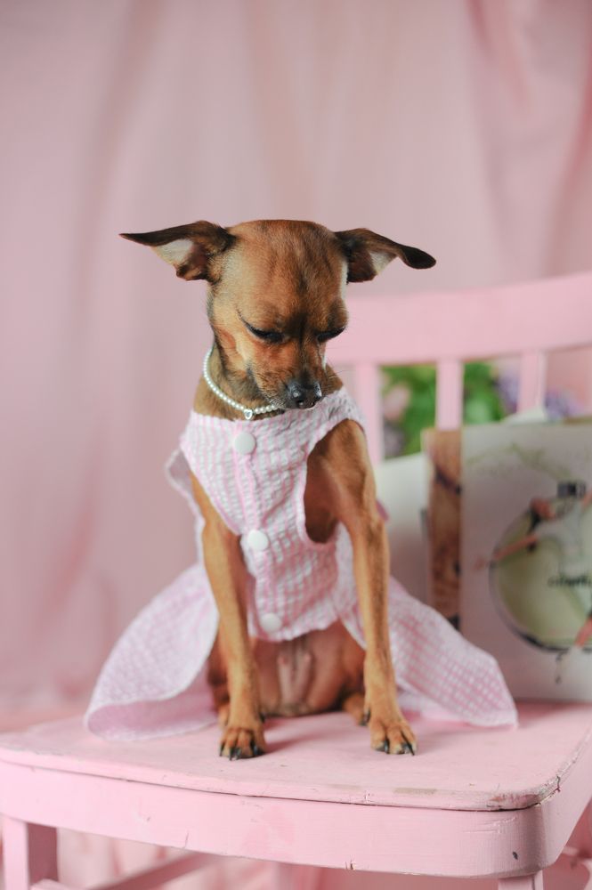 Photograph by Мария Лавриненко