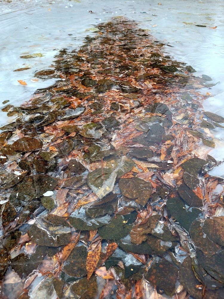 Фотография автора Казакова Людмила Ивановна