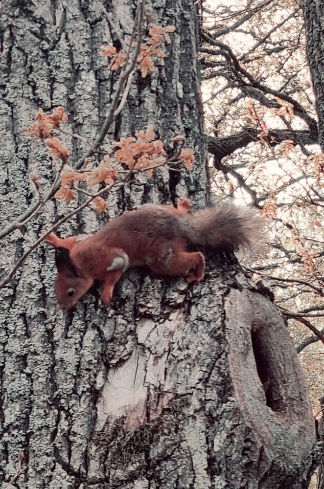 Photograph by Максим Иванов