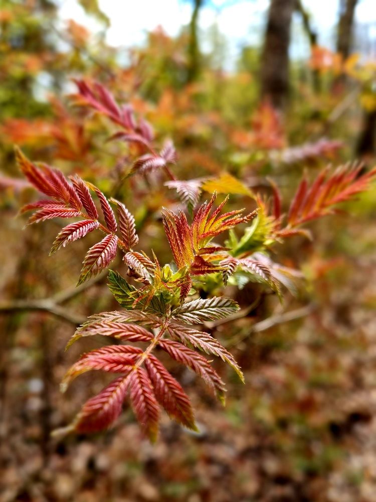 Photograph by Максим Иванов