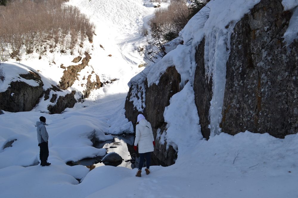 Photograph by Надежда Чаплынская