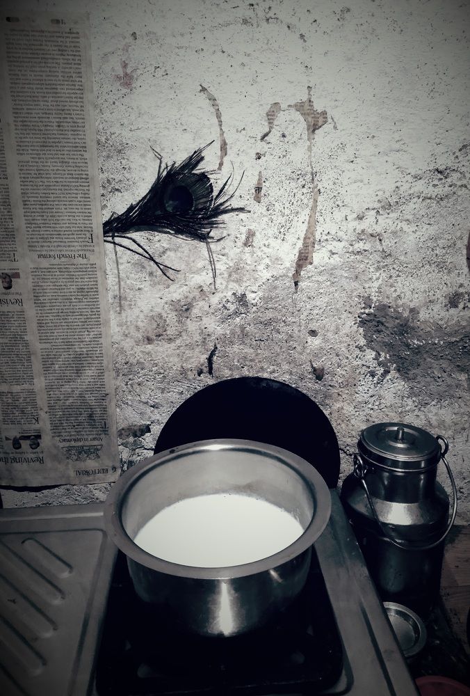 Photo #11449150
