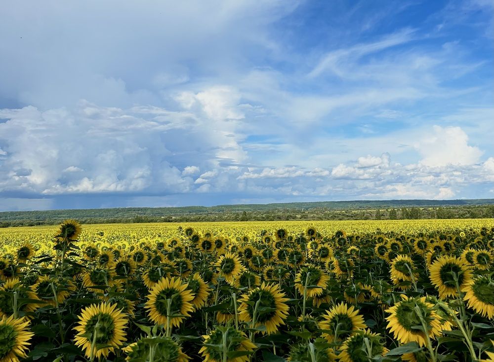 Photograph by Валентина