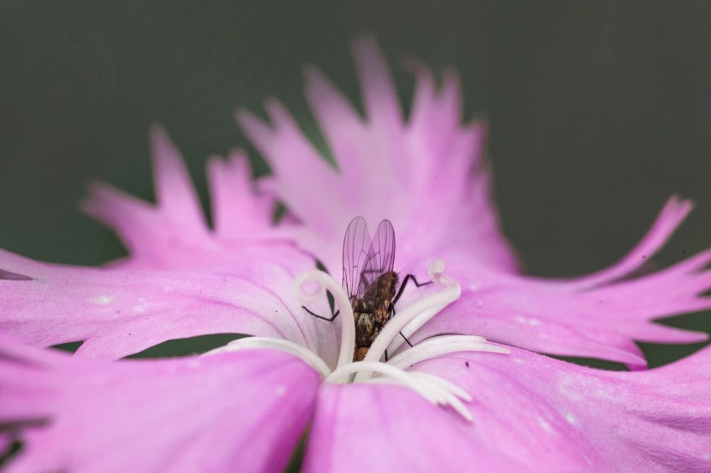 Photograph by Екатерина Леонова