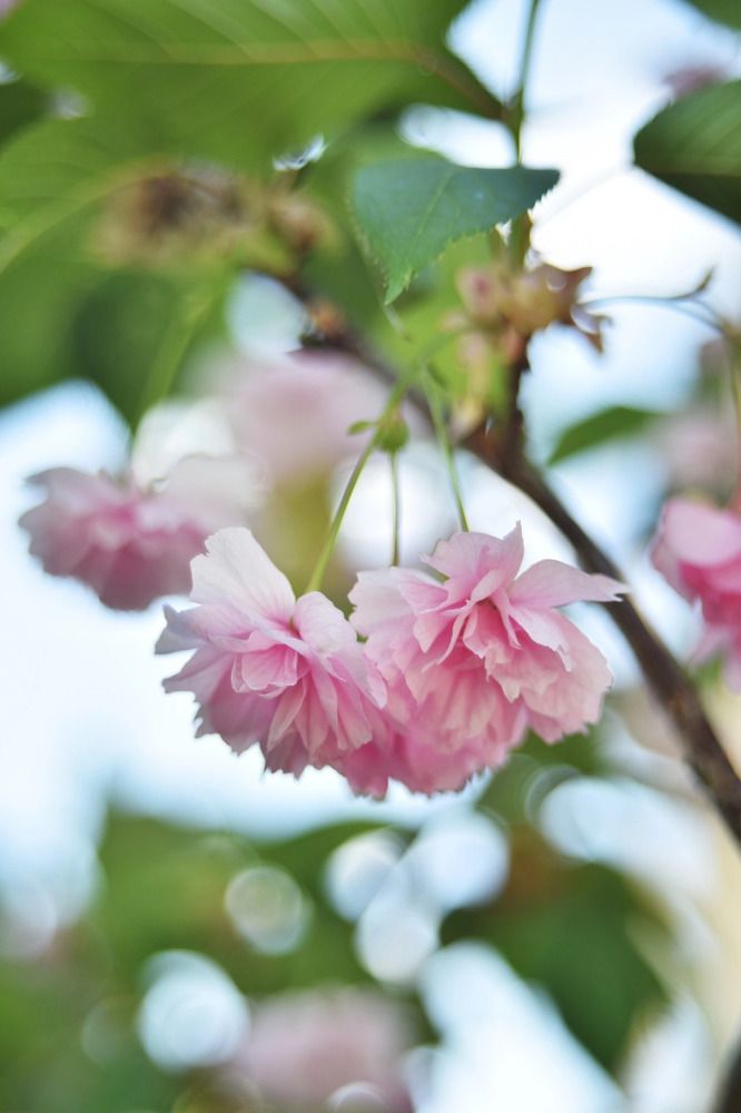 Photograph by Екатерина Леонова