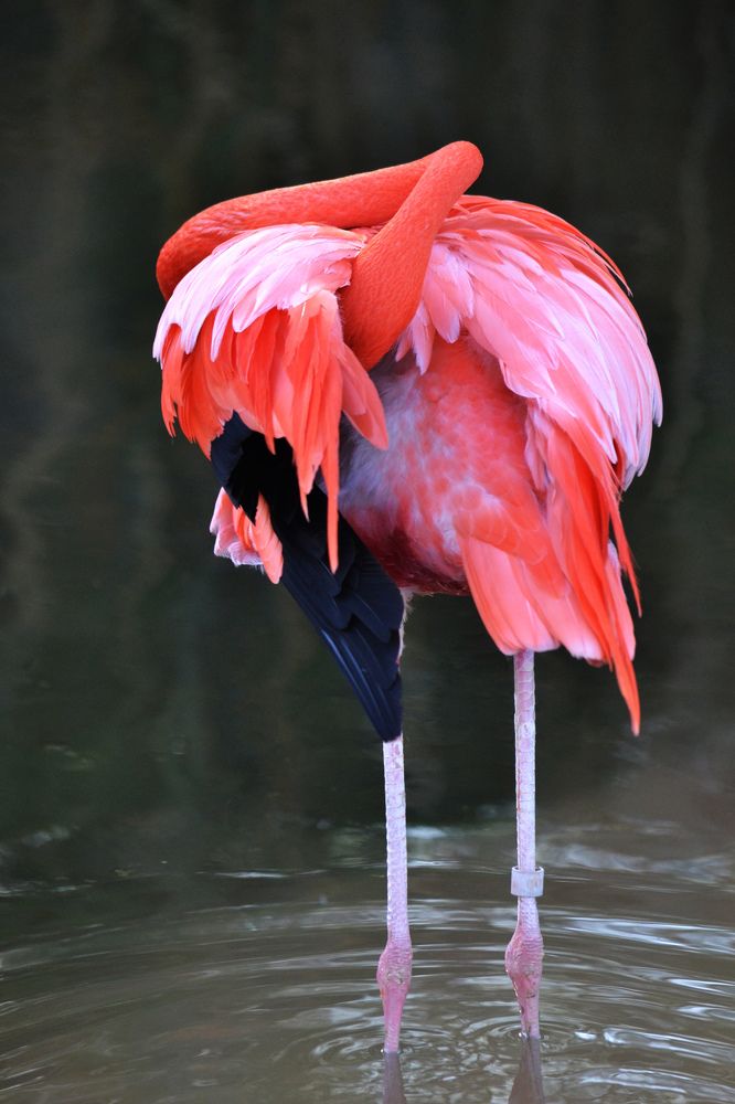 Фотография автора Cecilia