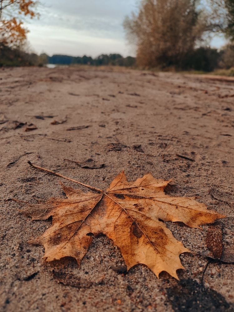 Photograph by Ирина Половцева