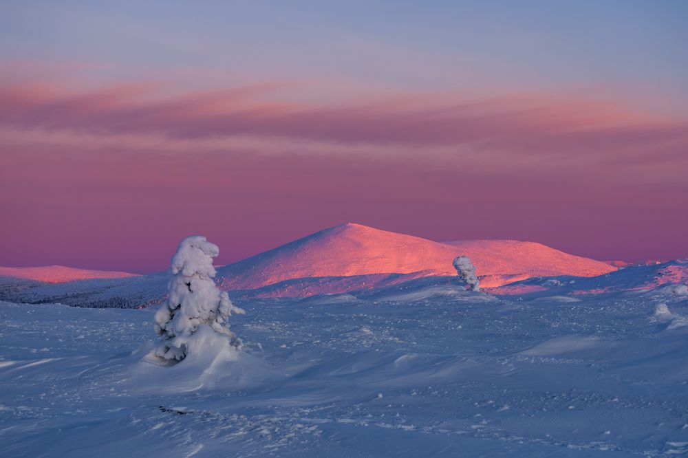 Photograph by Мика Петров