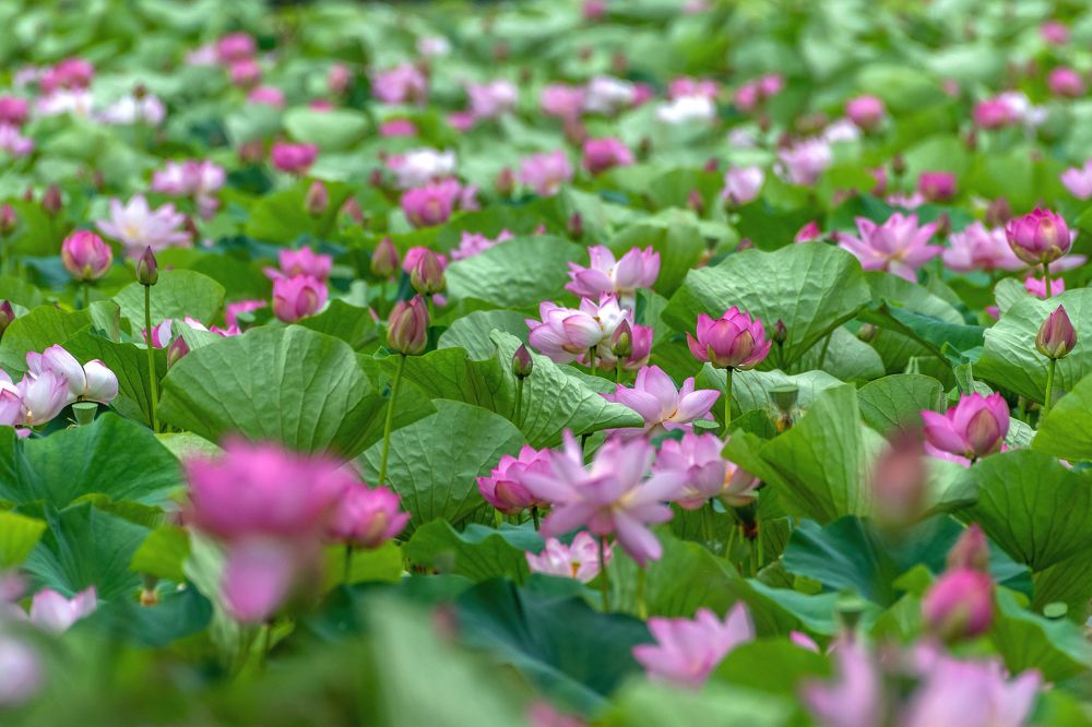 Photograph by константин