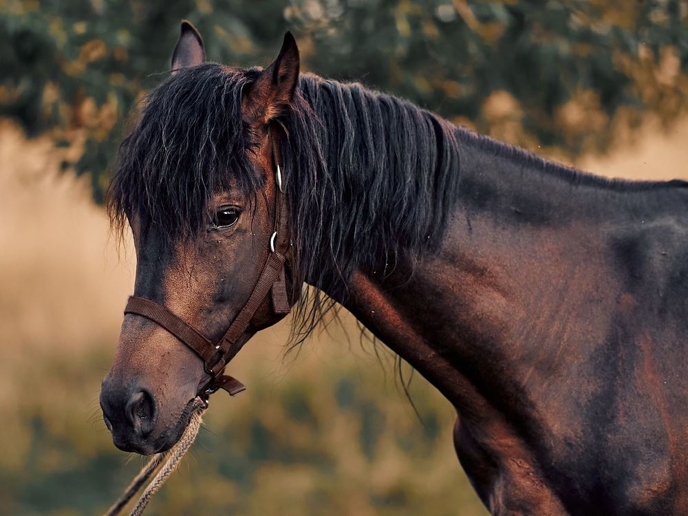 Photograph by Mikhail Khmelevskiy