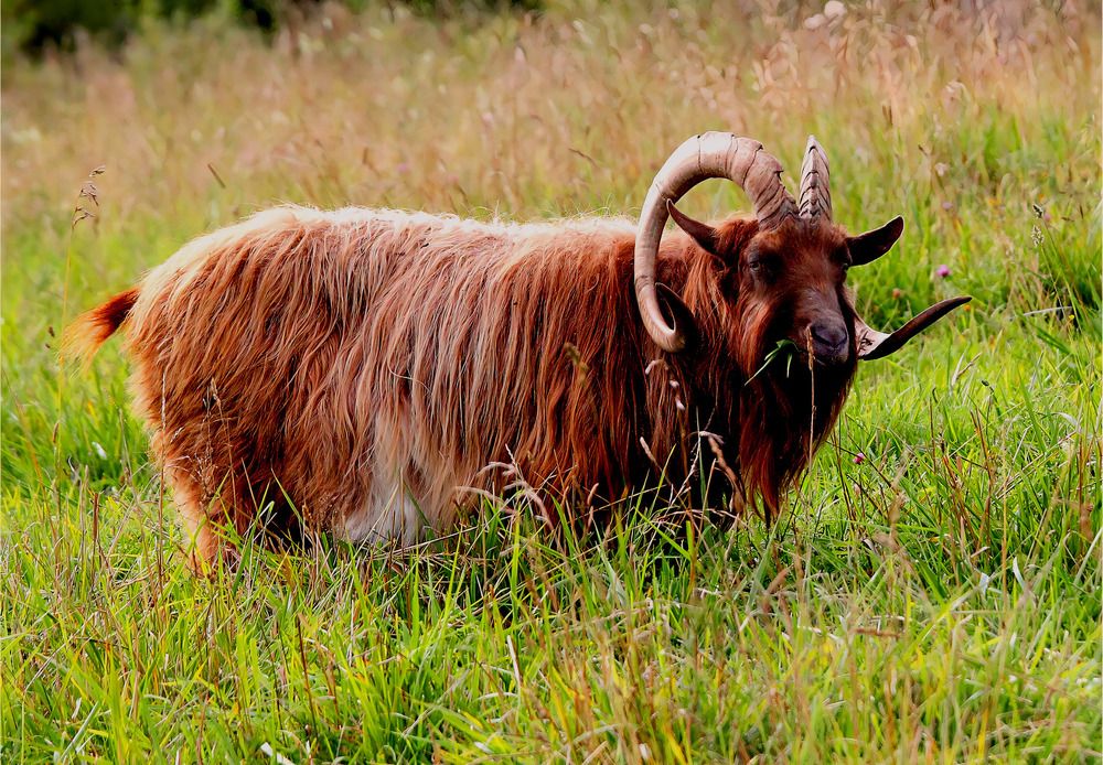 Photograph by Татьяна Слесарева