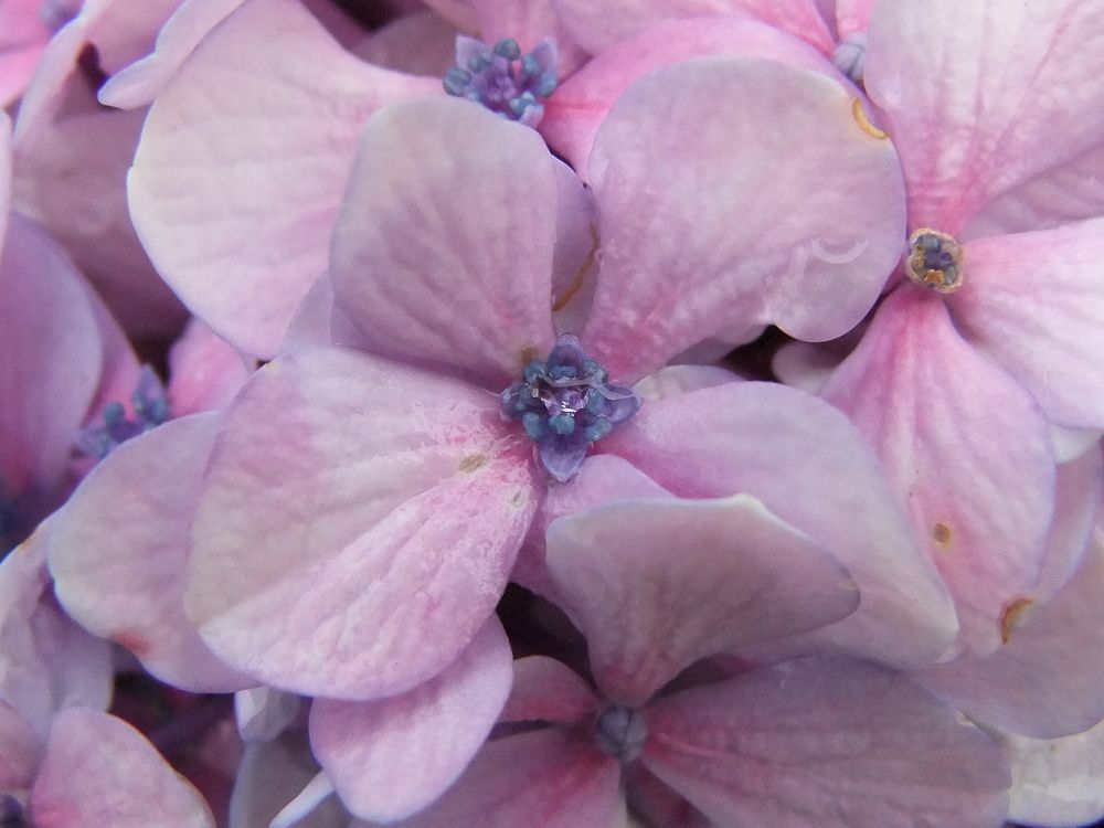 Photograph by Ольга Стоун