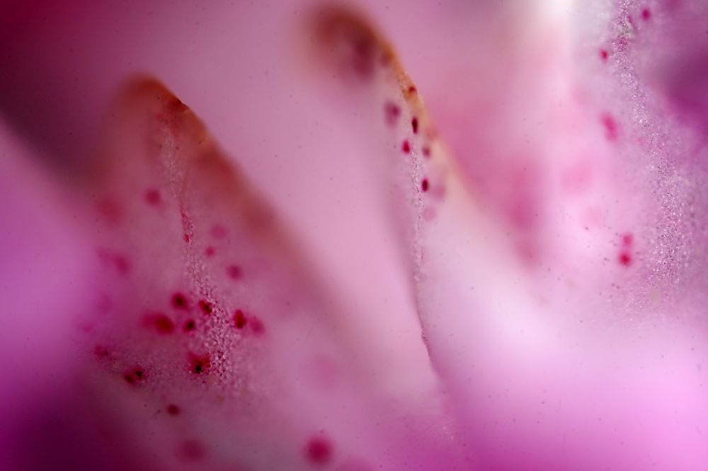 Photograph by Владислав Кравцов