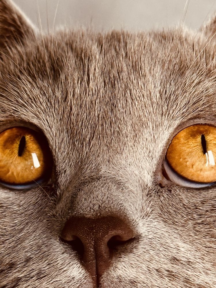 Photograph by Zhanna Kolesnikova