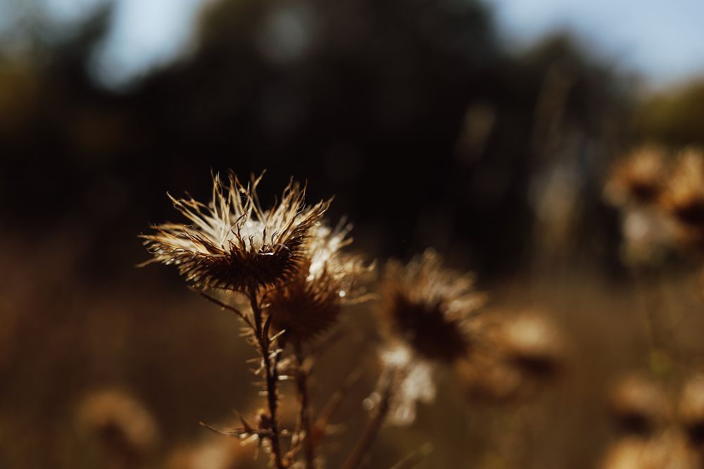 Фотография автора Дарина Фельдман