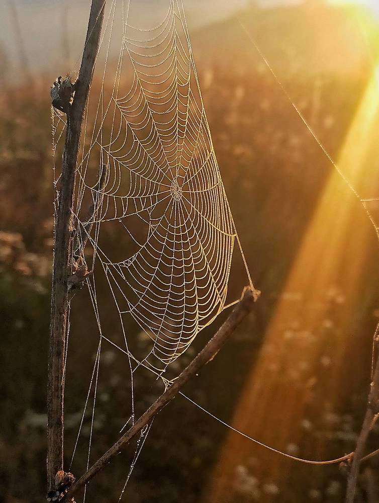 Photograph by Ольга Мартьянова