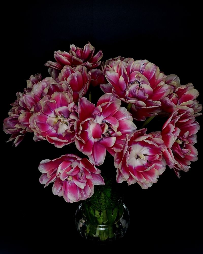 Photograph by Ирина Строкова