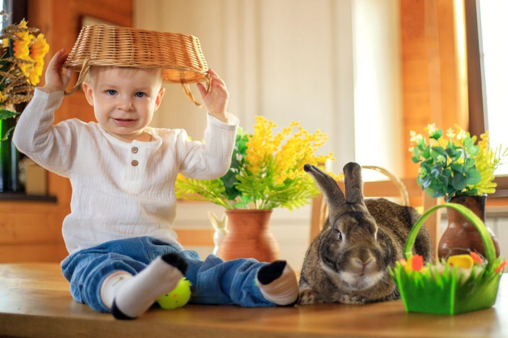 Photograph by Светлана Зубкова