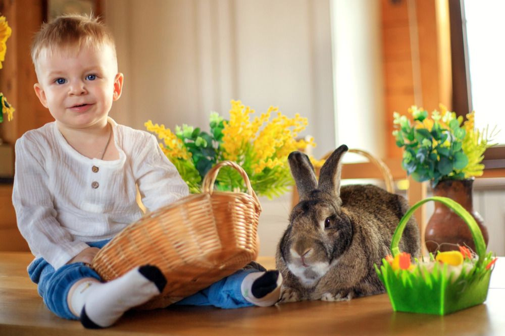 Photograph by Светлана Зубкова