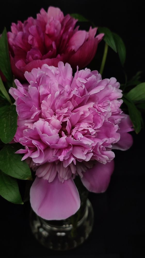 Photograph by Ирина Строкова