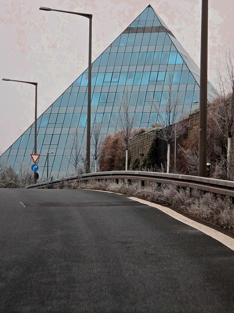 Photograph by Светлана