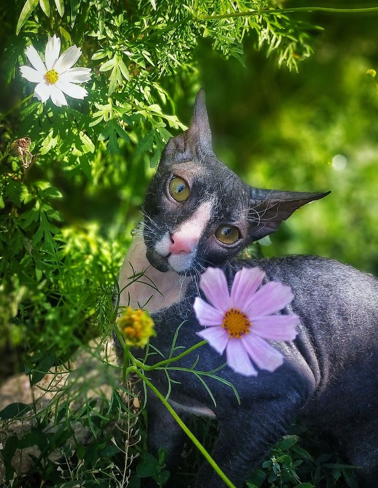 Photograph by Ольга Мартьянова