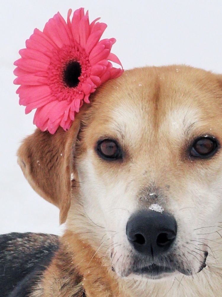 Фотография автора Евгения Никишина