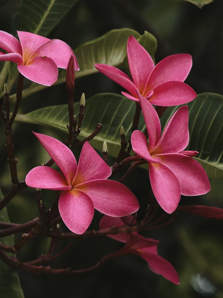 Фотография автора Евгения Никишина