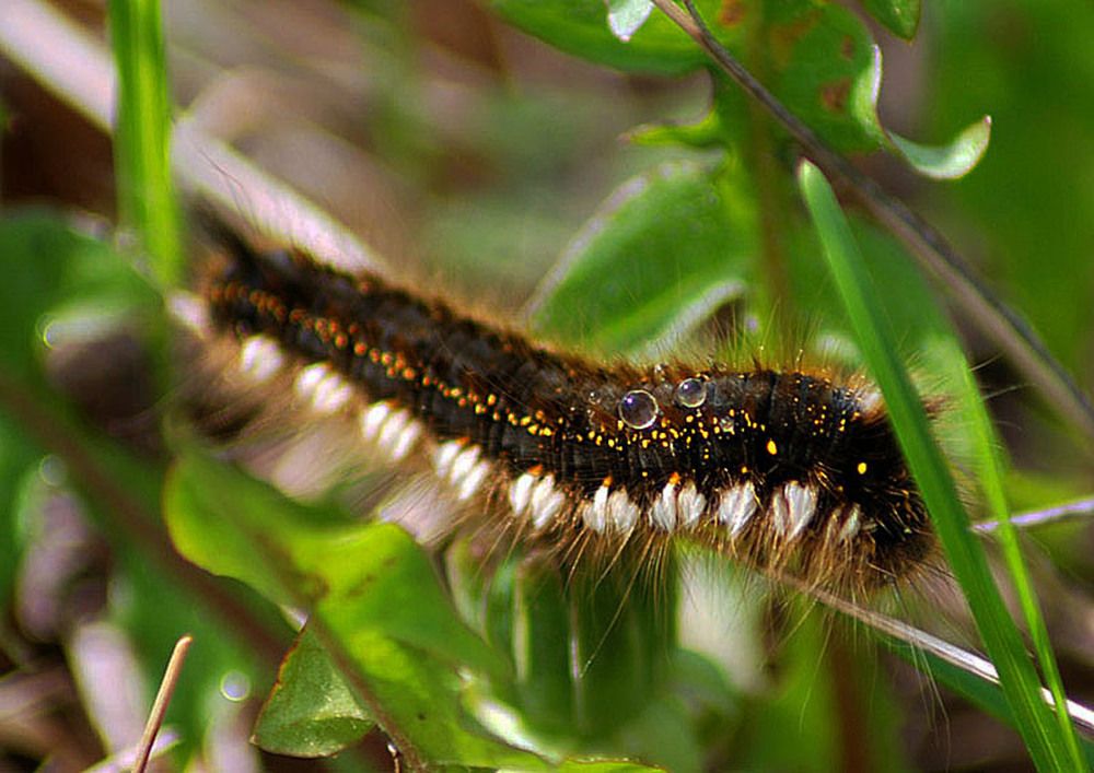 Photograph by Людмила Павловна