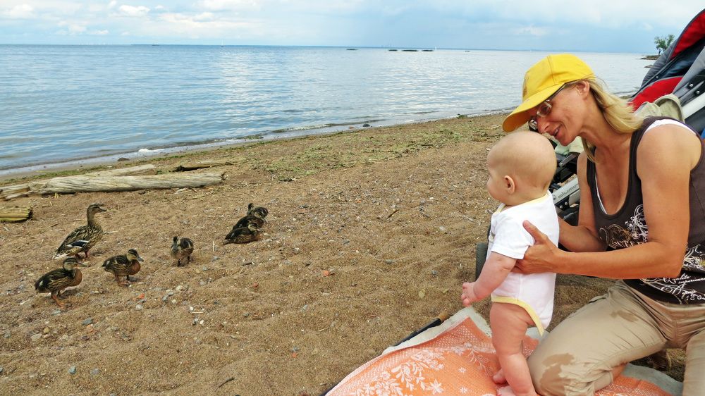 Photograph by Мигун Александра