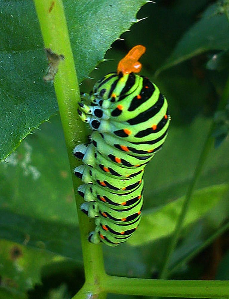 Photograph by Людмила Павловна