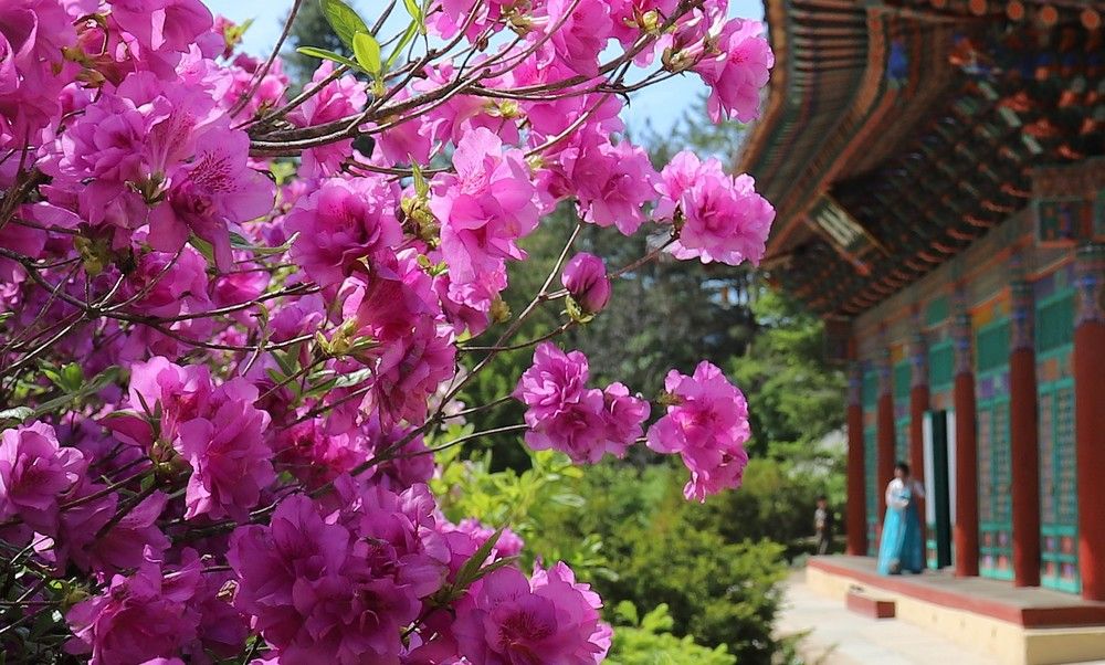 Photograph by Диана Жагрина